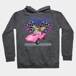 Toy Car Raceway Hoodie